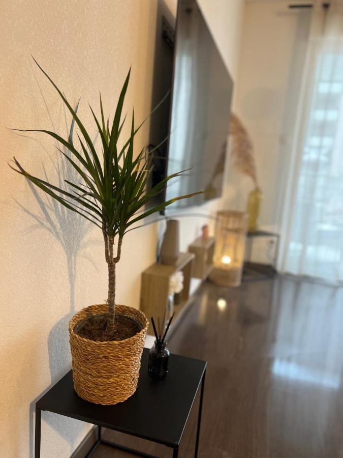 T2 Cosy Ajaccio Apartment Ajaccio  Bagian luar foto