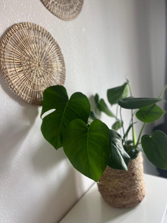 T2 Cosy Ajaccio Apartment Ajaccio  Bagian luar foto